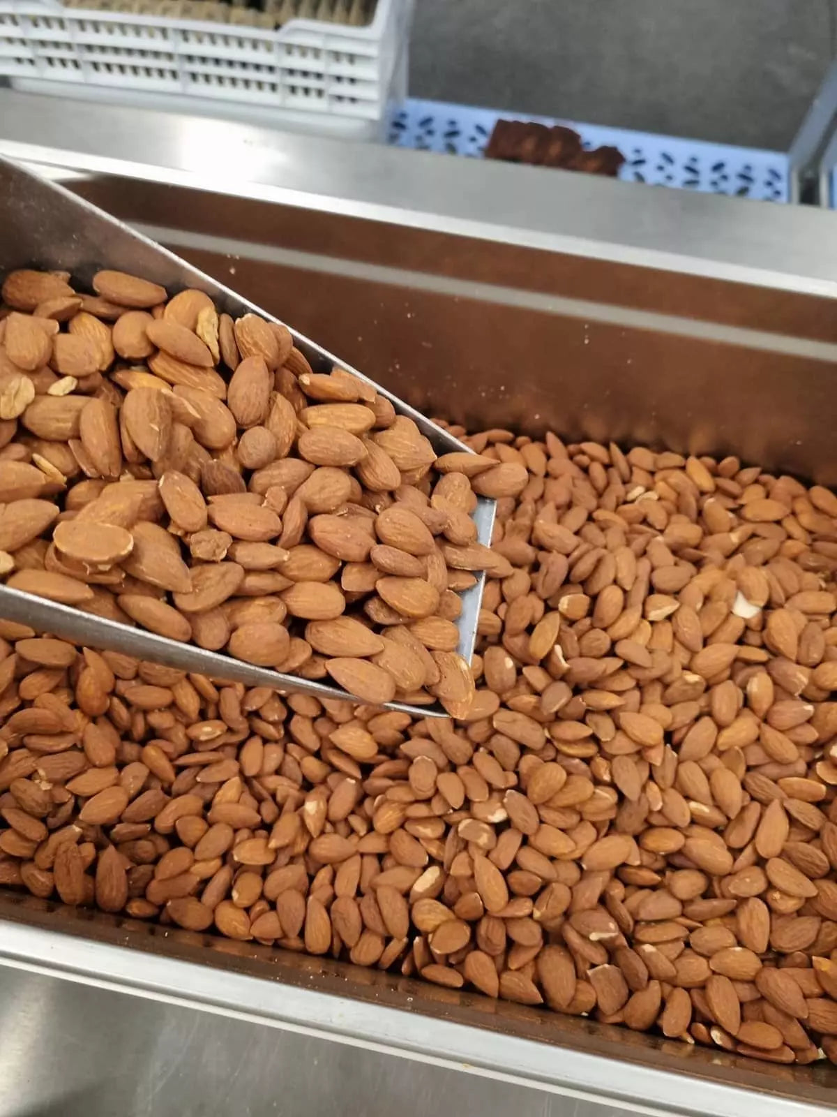 Tout savoir sur les amandes: leurs bienfaits et utilisations