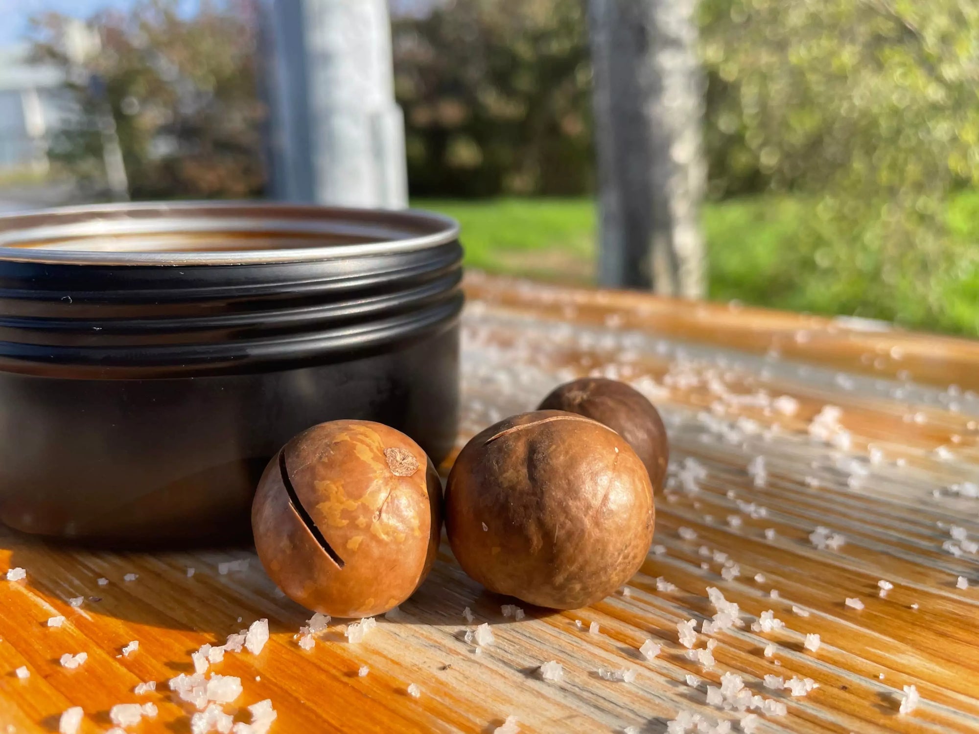 Noix de macadamia : bienfaits incomparables !