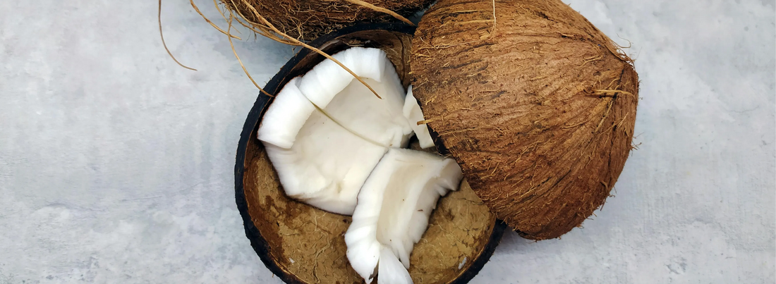 La noix de coco : Un fruit exotique méconnu